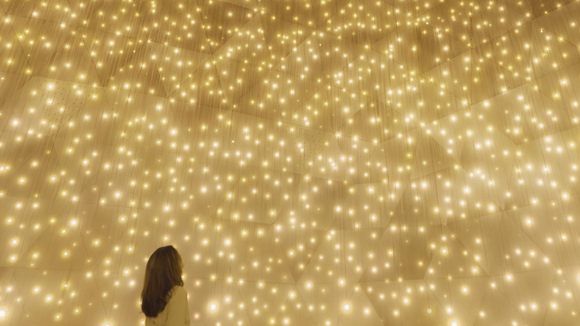 teamLab Biovortex Kyoto 