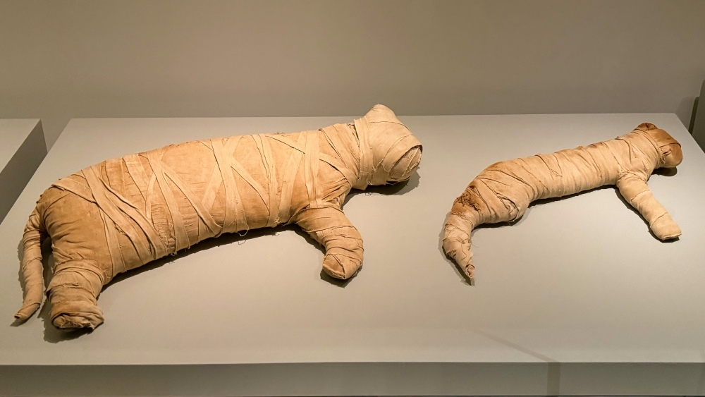 Ancient Egypt Unveiled