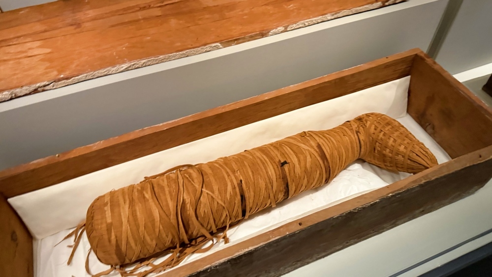 Ancient Egypt Unveiled