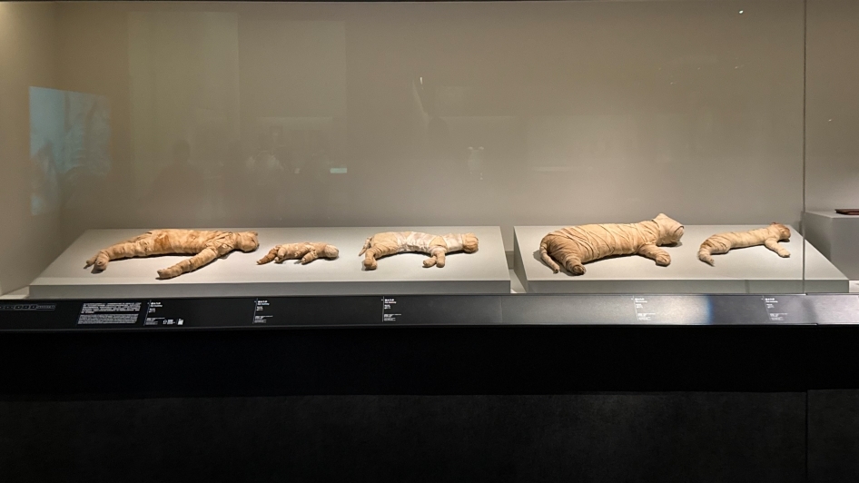 Ancient Egypt Unveiled