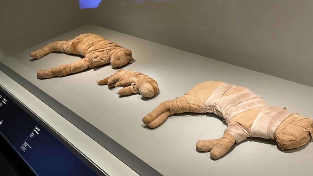 Ancient Egypt Unveiled