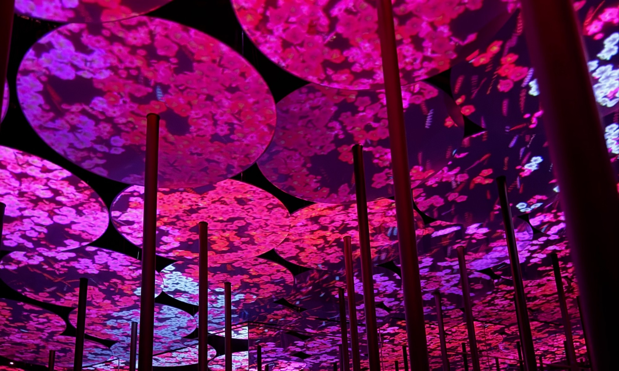 คอนเซ็ปต์ที่แหวกแนวที่สุด Borderless World