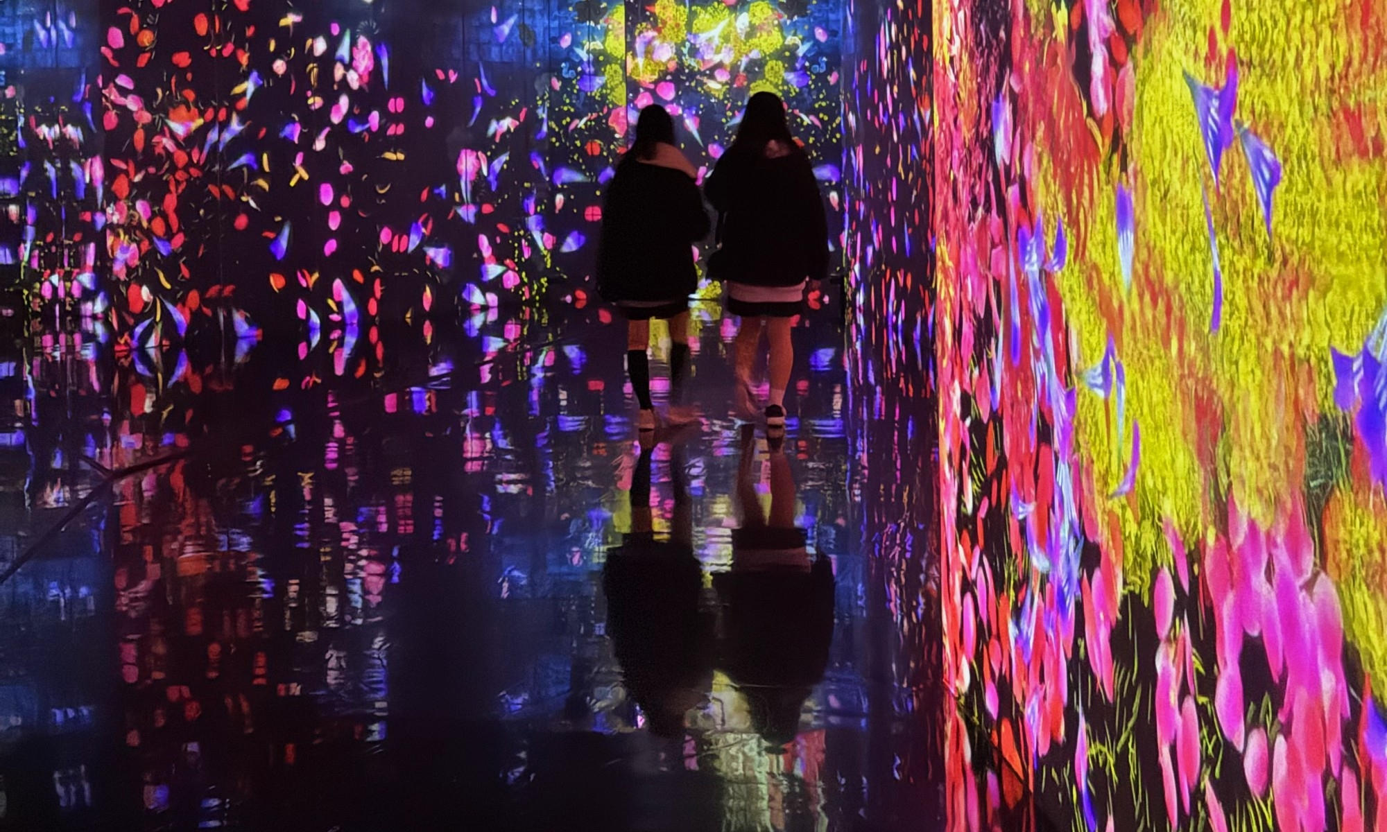 คอนเซ็ปต์ที่แหวกแนวที่สุด Borderless World