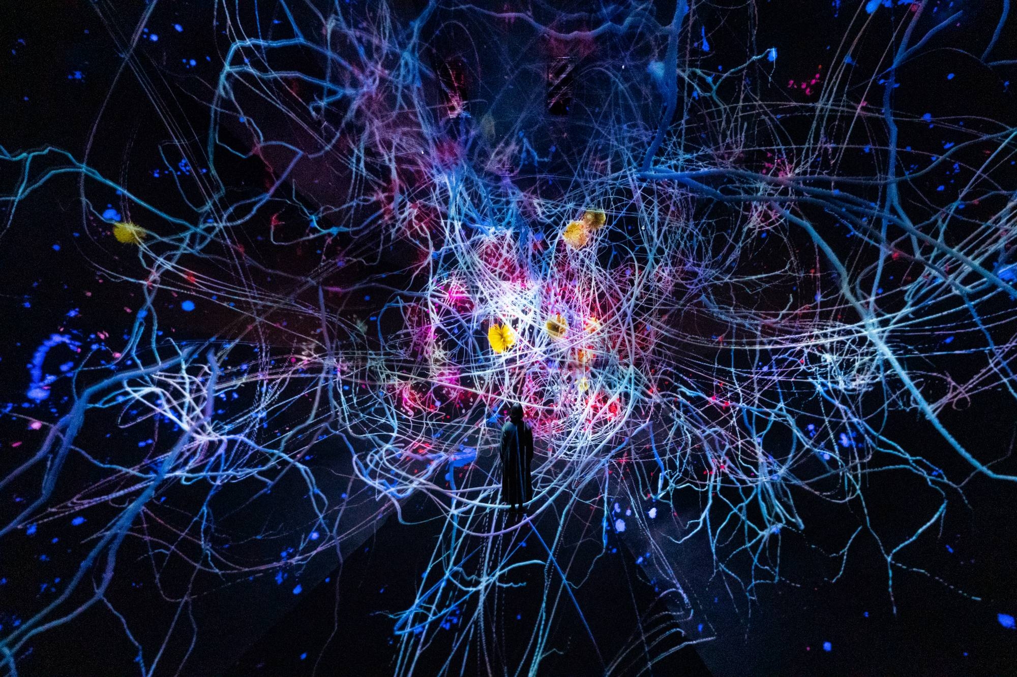 teamLab Biovortex Kyoto